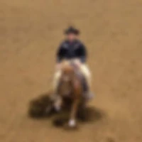Honora Bay Riding Stable
