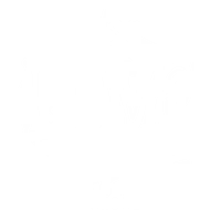 Love Yoga Surf
