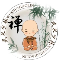 School Of Wushu Shaolin