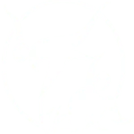 Kadanse