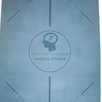 Synergy Performance Institute