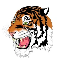 Millthorpe Tigers Football Club