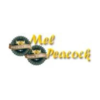 Mel Peacock - Quantum Savvy Horsemanship Instructor