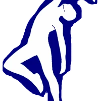 Dance School Contemporaine I.journiac