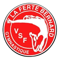 Vsf Gymnastique