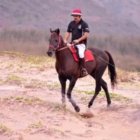 Flying Sea Stallion HORSE RIDING SCHOOL