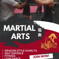 Dragon Style Martial Arts