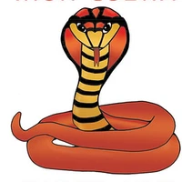 Iron Cobra Martial Arts