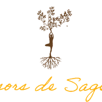 Treasures De Sagesse
