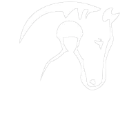 Pause Awhile Equestrian Centre