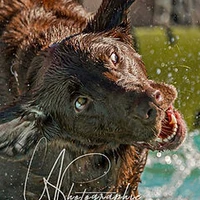 Le Saut d'Eau