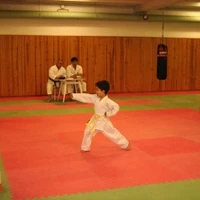 Karate Challenger