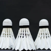 Lighthall Badminton Club