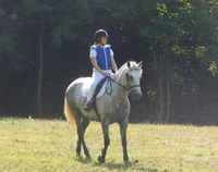 Equestrian Center Pony Club De Saint Palais