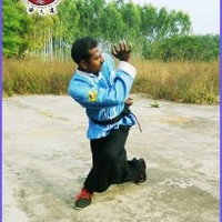 SHAOLIN KUNG-FU THE WORLD
