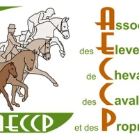 Aeccp
