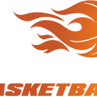 No Limits Basketball - The Academy