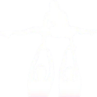 Elements Acro Gymnastics Club