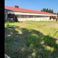 Abbey Road Farm Inc