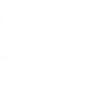 Daintree Tours