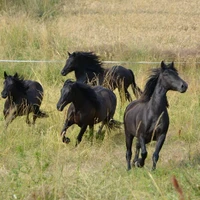 Merens du Peyral