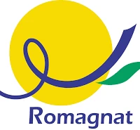 ASM Romagnat