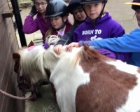 Northbrook Equestrian Centre