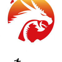 Dragon Boxing