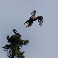 Wabakimimaps.com