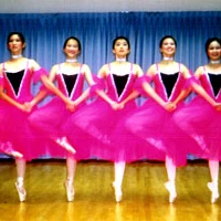 Dance Dynamics