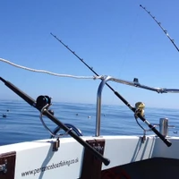 M J Marine Charters Ltd Celtic Fox