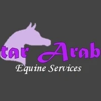 Chetar Arabians