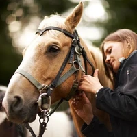 Equestrian Center Shannon