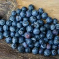 Elizabeth Pattalis: Registered Nutritionist - Pilates - Online Clinic