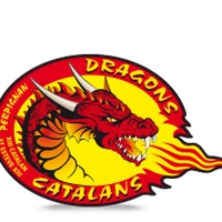 Catalans Dragons