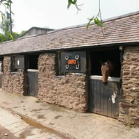 Manor Farm Livery
