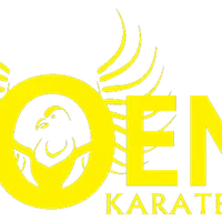 Phoenix Karate Schools