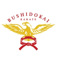 Bushidokai International - Headquarters to a Mixed Martial Arts program for all ages and fitness levels