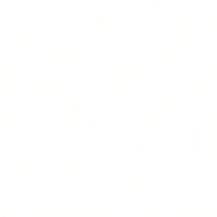 The Bollywood Co.