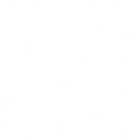 Strong with Stu