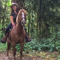 Giddy Up Equine Experiences