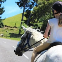 Te Horo Equestrian Centre