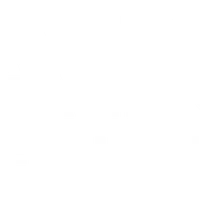 Gainz Fit