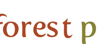 New Forest Properties