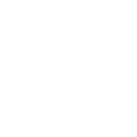 The Playground Pilates Collective