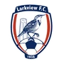 Larkview FC