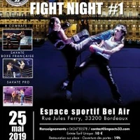 Impacts Fight