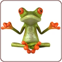 Latitude Yoga