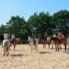 Equestrian Center Mané Guernehué À Baden Gulf Du Morbihan 56