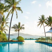 Dolphin Pool